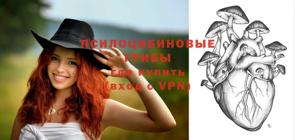 ПСИЛОЦИБИНОВЫЕ ГРИБЫ Киренск