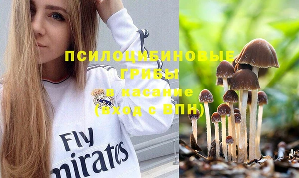 ПСИЛОЦИБИНОВЫЕ ГРИБЫ Киренск