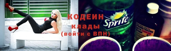 ПСИЛОЦИБИНОВЫЕ ГРИБЫ Киренск