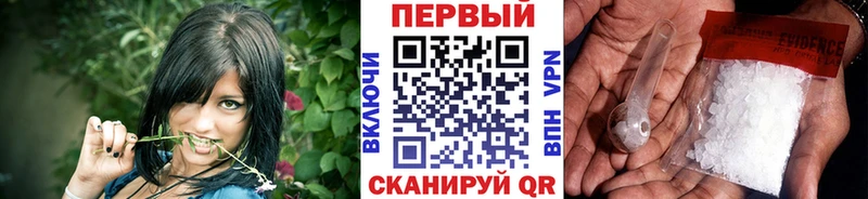 закладки  Камышин  даркнет официальный сайт  Первитин витя 