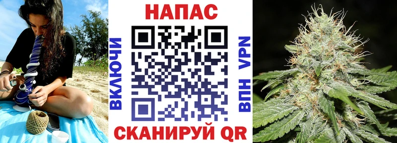 Бошки Шишки гибрид Камышин